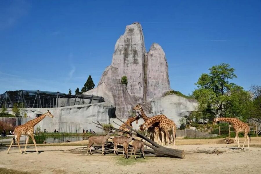 Paris: Paris Zoological Park Entrance Ticket - Entering Paris Zoological Park: five biozones, one simple plan