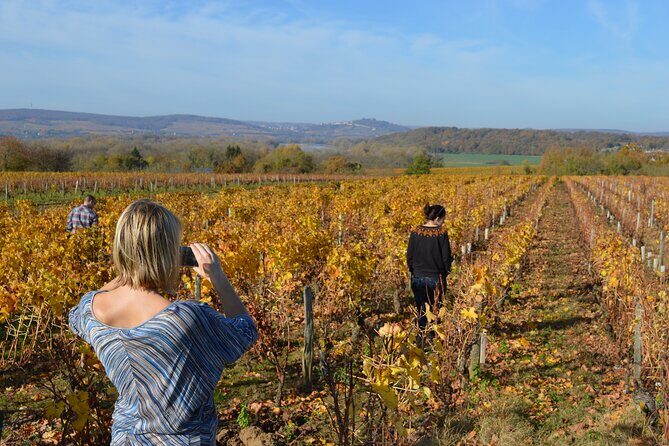Paris Wine Day Tours exclusive wine tour in the Sancerre area - Stop 1: Sancerre village, two winemakers, and a walk in the vines