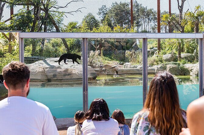 Parrot World Immersive Wildlife Park Entry Ticket next to Paris - Who should book this Parrot World ticket?