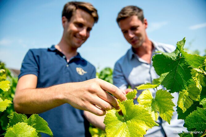 Reims afternoon tour Champagne and family growers - The real value: transport + built-in tastings (not just a bus ride)