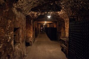 Reims afternoon tour Champagne and family growers - Stop 1 in Champagne-Ardenne: the first 90 minutes and the first three pours