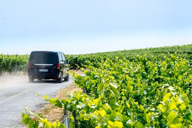 Reims afternoon tour Champagne and family growers - Abbaye Saint-Pierre d’Hautvillers: 15 minutes tied to Dom Pérignon