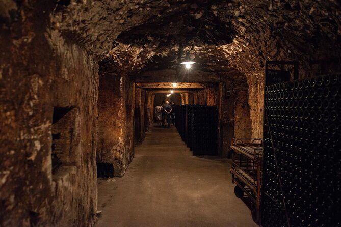 Reims afternoon tour Champagne and family growers - Stop 1 in Champagne-Ardenne: the first 90 minutes and the first three pours