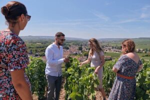 Reims or Epernay: Full day Champagne Mumm, family grower & lunch - Starting in Reims Gare: A Day That’s Easy to Join