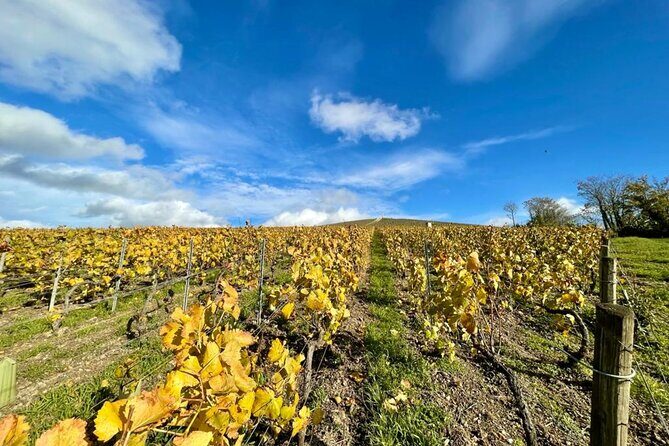 Reims or Epernay: Full day Champagne Mumm, family grower & lunch - The 7 Tastings: What You Should Actually Pay Attention To