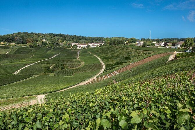 Small Group - Full Day Champagne Tour 3 Small Champagne Growers - Key highlights in plain terms