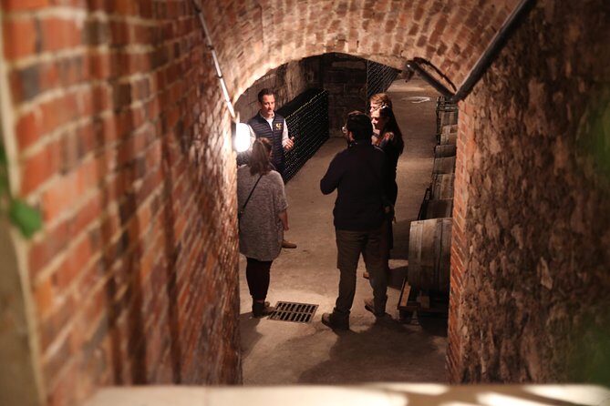 Small Group - Full Day Champagne Tour 3 Small Champagne Growers - What’s not on the itinerary (and why that can be a plus)