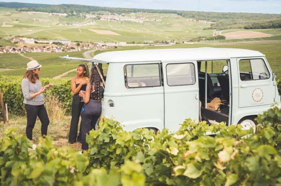 The Essential Tour from Epernay with Champagne Tasting - Who This Tour Fits Best (And Who Might Prefer Something Else)