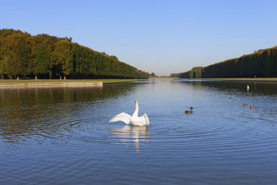 Versailles: Skip-the-Line Guided Tour of Palace with Gardens - Gardens after the palace: where you can slow down